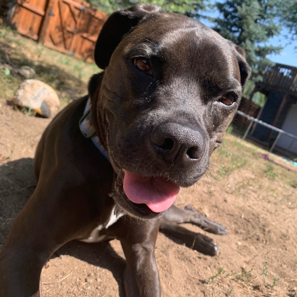 Meet your Posher, Rashelle